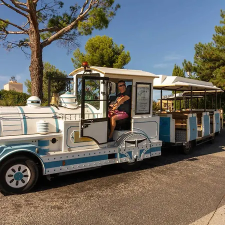 شقة Duplex Avec Terrasse Et Solarium, Acces Piscine Et Parking Compris - Fr-1-504-666 Saint-Raphaël