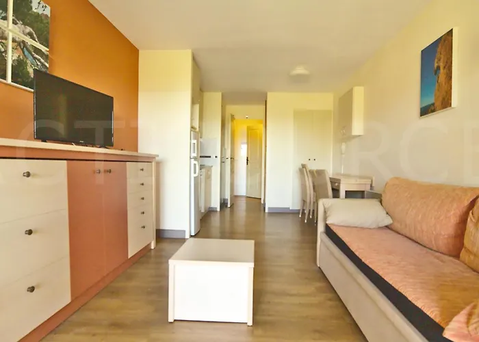 Duplex Avec Terrasse Et Solarium, Acces Piscine Et Parking Compris - Fr-1-504-666 *